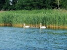 Domek Okoń nad jeziorem Sasek Wielki koło Szczytna mazury - 13