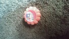 Sprzedam tanio - 2