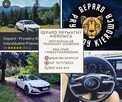 Transport po Polsce, Prywatne przewozy osobowe, taxi lotnisk - 2