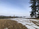 Działka rolna z widokiem na Tatry Zakopane 1000m2 - 10
