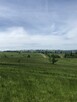 Działka rolna z widokiem na Tatry Zakopane 1000m2 - 14