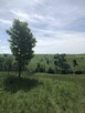 Działka rolna z widokiem na Tatry Zakopane 1000m2 - 16