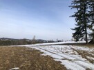 Działka rolna z widokiem na Tatry Zakopane 4928m2 - 6
