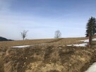 Działka rolna z widokiem na Tatry Zakopane 1000m2 - 8