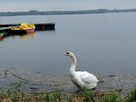 Domek Jagoda Mazury nad jeziorem Sasek Wielki nocleg pokój - 15