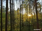 Domek Poziomka nad jezioremSasek Wielki nocleg mazury pokój - 6