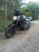 Suzuki gsf 650 - 6