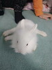 Królik miniaturka - 2