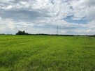 Działka Tomaszów Lubelski, Łubinowa - 3