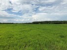 Działka Tomaszów Lubelski, Łubinowa - 4