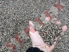 żwirownia Olsztyn żwirownia Dywity kopalnia kruszywa - 10