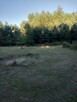 Sprzedam - 3