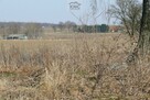 Działka budowlana Skrzynice Pierwsze gm. Jabłonna - 3