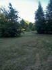 Sprzedam - 2