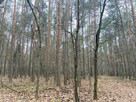 Las, działki leśne - na sprzedaż - 11