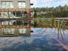NATUR POOL - STAWY KĄPIELOWE | BASENY | OCZKA WODNE - LIDER - 2