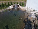 NATUR POOL - STAWY KĄPIELOWE | BASENY | OCZKA WODNE - LIDER - 7