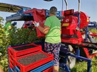 Kombajn Do Owoców Jagodowych OSKAR A01 - 13