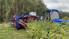 Kombajn Do Owoców Jagodowych OSKAR A01 - 10