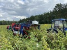 Kombajn Do Owoców Jagodowych OSKAR A01 - 8