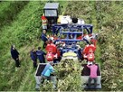 Kombajn Do Owoców Jagodowych OSKAR A01 - 7