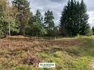 Działka Lipowo z wz. Cicha okolica - 3