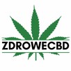 CannabiGold Terpenes+ Kannabidiol i terpeny w oleju 1000mg - 2