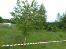 90 KM OD WARSZAWY 8 KM OD MAKOWA MAZ. - 6
