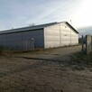 Hala magazynowa o powierzchni 1600m2, Wrocławska, Kalisz - 9