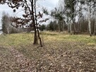 Działka 2600 m2 z WZ w Helenowie gm. Pionki. - 4
