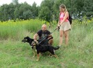 Wspaniały 2-latek KUSY ! Dlaczego nikt go nie chce pokochać - 13