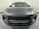 Macan - 2