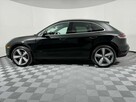 Macan - 4