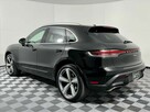 Macan - 5