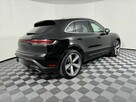 Macan - 6
