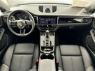 Macan - 8