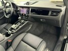 Macan - 10