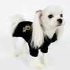 4XL Puppy Angel Koszulka polo dla psa czarna - 3