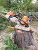 Wycinka drzew, z podnośnika, alpinistycznie. Usługi rębakiem - 5