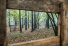 Paintball dla każdego, na każdą kieszeń - 15