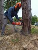 Wycinka drzew, z podnośnika, alpinistycznie. Usługi rębakiem - 3
