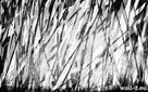Tapeta do męskiej sypialni za zagłówek łóżka Fototapety - 2