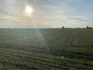 Działki rolne o pow. 3,4 ha w Brzezienku, gm. Wąsewo - 2