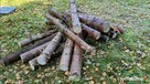 Karlikowo Wynajmę działkę w lesie 12ha Rekreacja, odpoczynek - 3