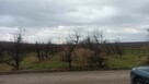 Działki rolne o pow. 0,27 ha + 0,73 ha w m. Głazów - 2