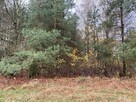 Działka inwestycyjna w rej. ul. Wiśniowej, 55 zł/m2 - 6