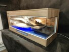 Terrarium 120x60x60 cm Agama Gekon - 4