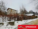 Drewniany dom z dużą działką - pole + sad + las - 2