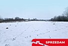 Drewniany dom z dużą działką - pole + sad + las - 3