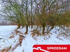 Drewniany dom z dużą działką - pole + sad + las - 5